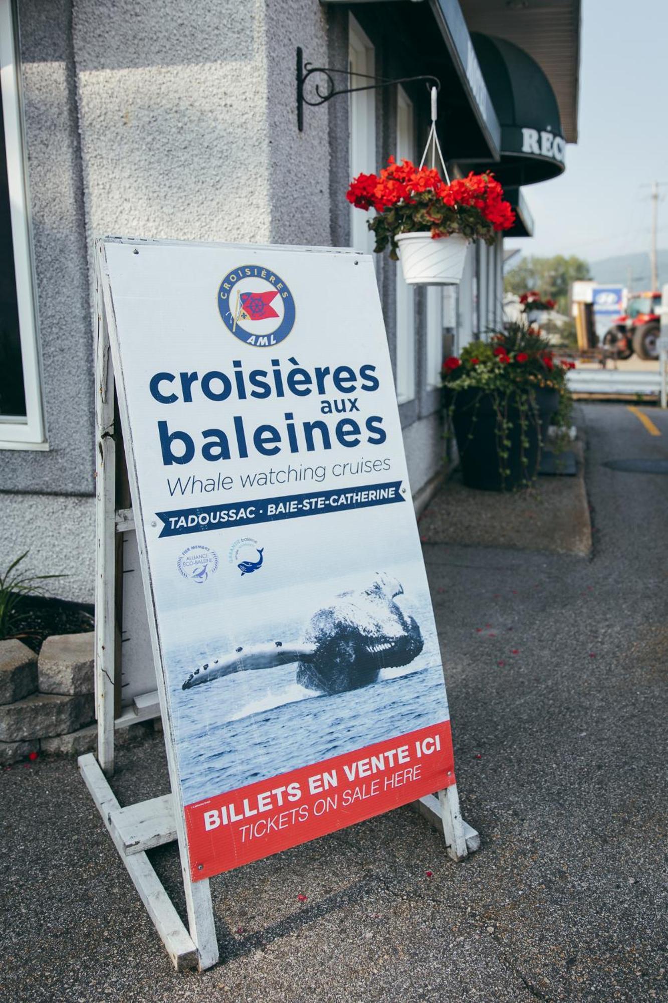 Motel Des Cascades Baie-Saint-Paul Exterior photo